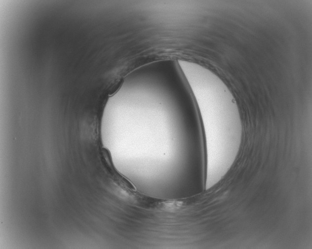 X0000076070474200609220958