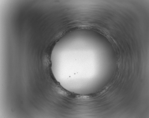 X0000076070476200609220958