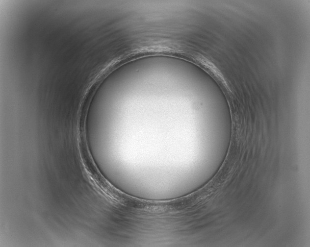 X0000076070482200609220957
