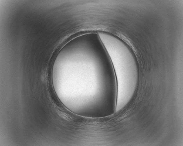 X0000076070483200609220957