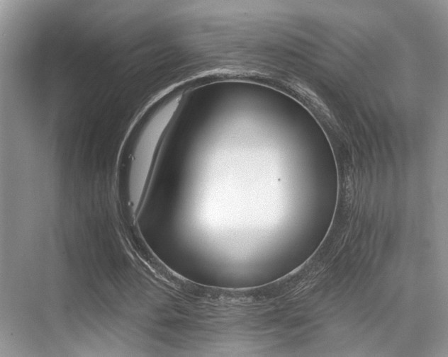 X0000076070484200609220957
