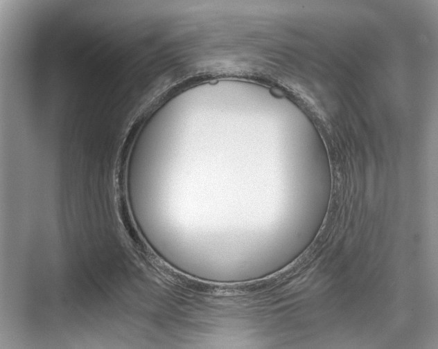 X0000076070487200609220957