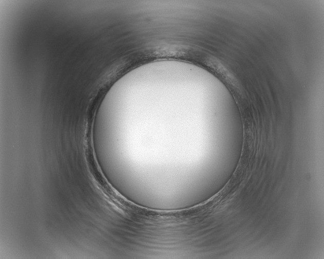 X0000076070490200609220957