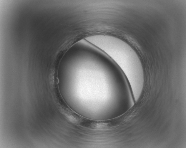 X0000076070501200609220957