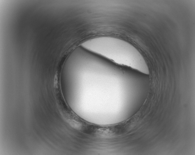 X0000076070502200609220957