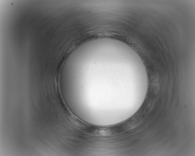 X0000076070506200609220957