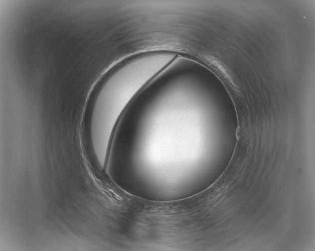 X0000076070532200609220956