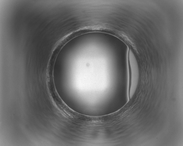X0000076070536200609220956
