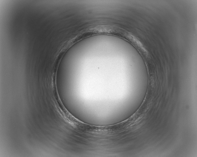 X0000076070537200609220956