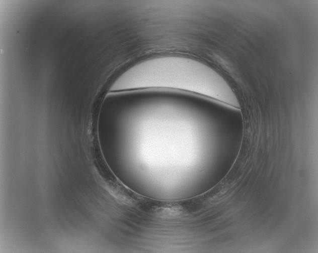 X0000076070548200609220956