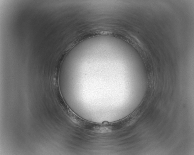 X0000076070553200609220956