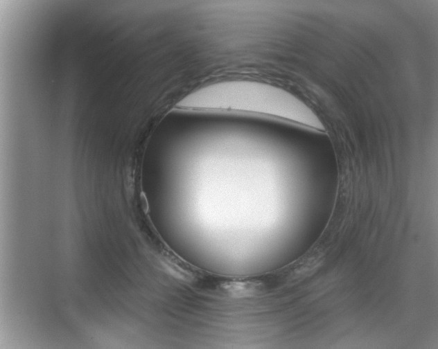 X0000076070558200609220956