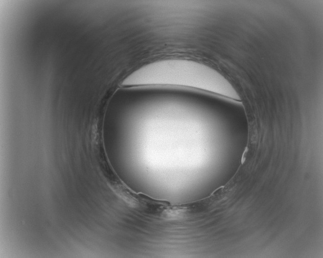 X0000076070560200609220956