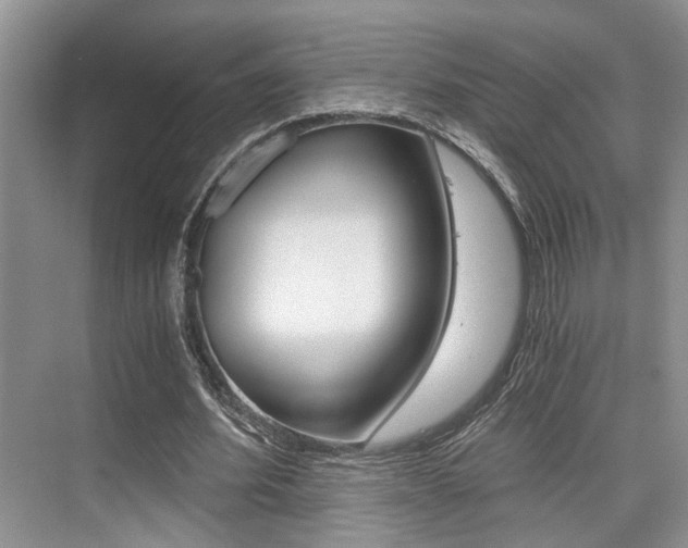 X0000076070580200609220955