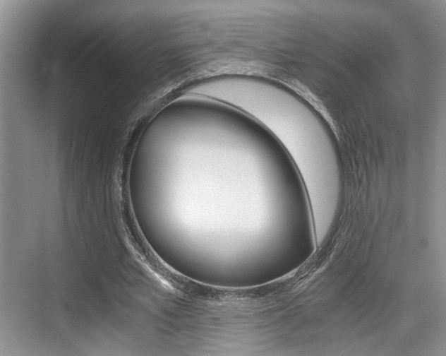 X0000076070581200609220955