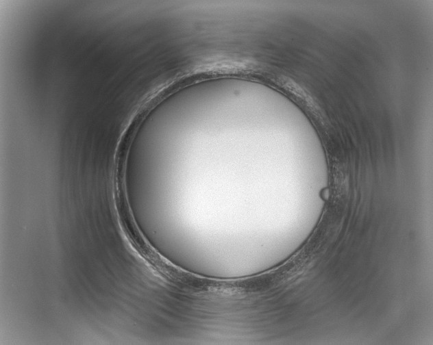 X0000076070582200609220955