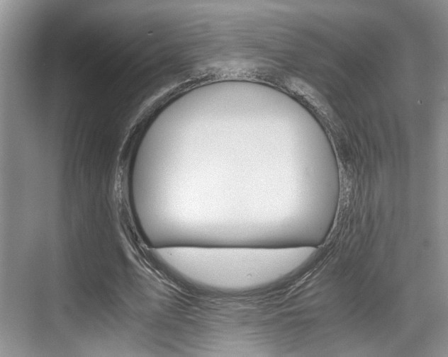 X0000076070583200609220955
