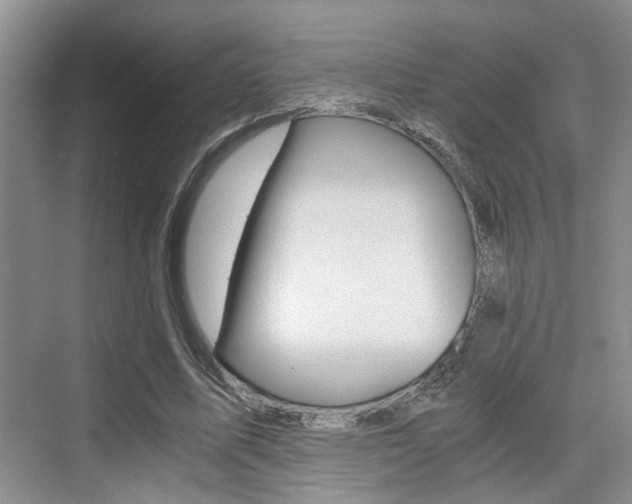 X0000076070587200609220955