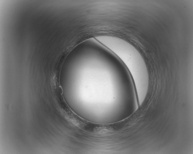 X0000076070597200609220955