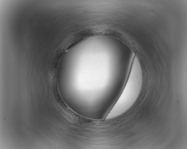 X0000076070601200609220955