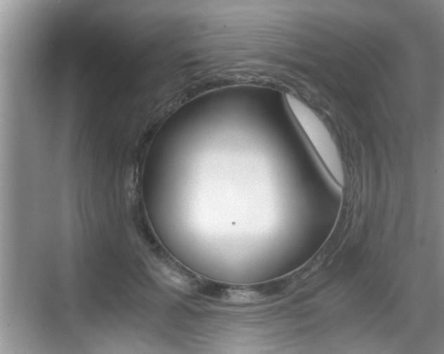 X0000076070605200609220955