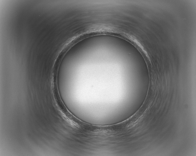 X0000076070629200609220954