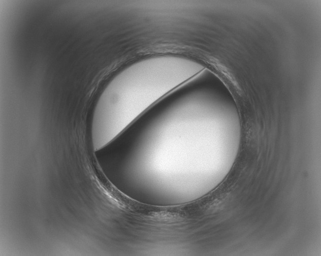 X0000076070633200609220954