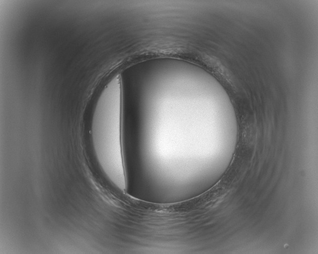 X0000076070635200609220954