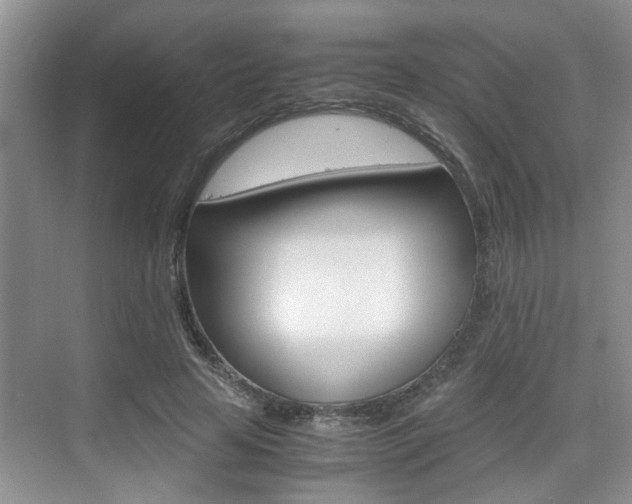 X0000076070641200609220954