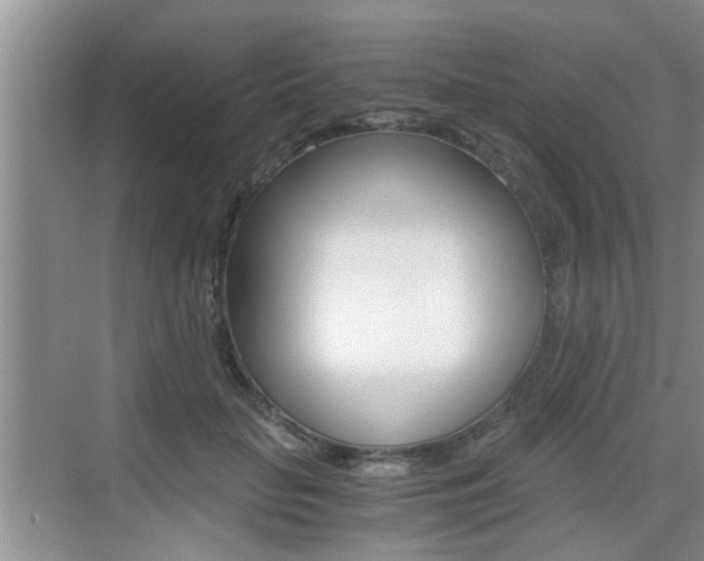 X0000076070653200609220954