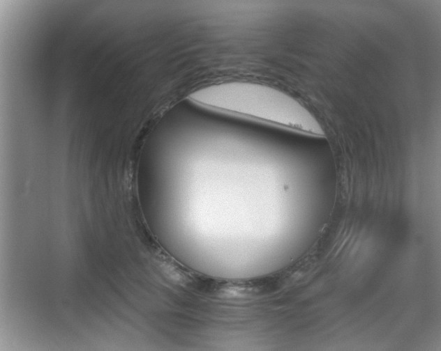 X0000076070657200609220954