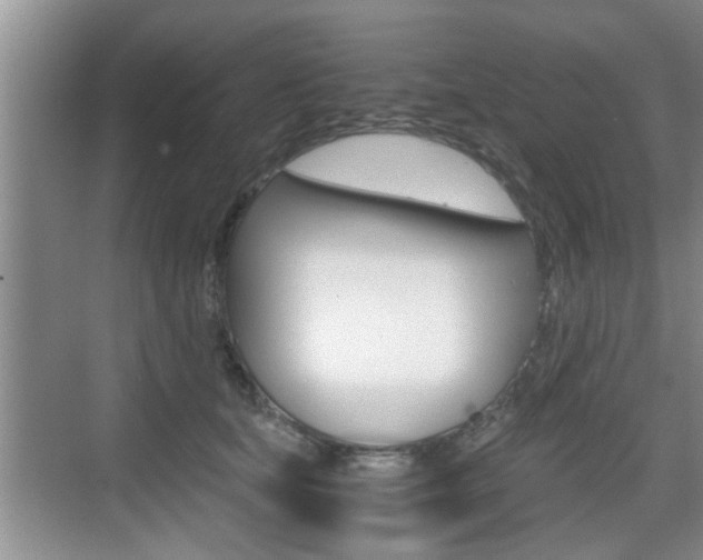 X0000076070659200609220954