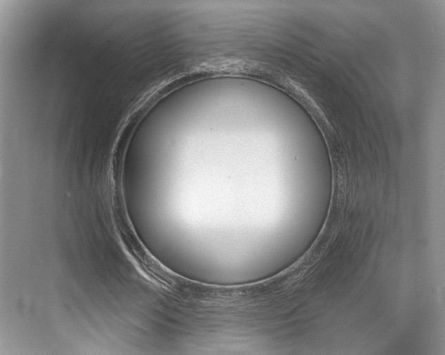 X0000076070674200609220954