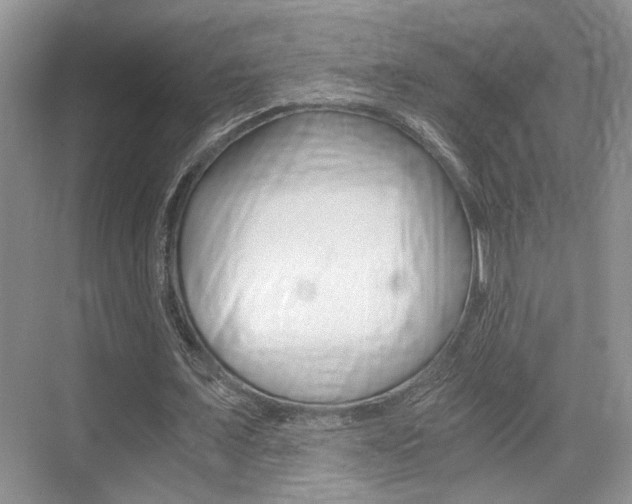 X0000076070675200609220954