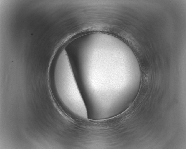 X0000076070678200609220954