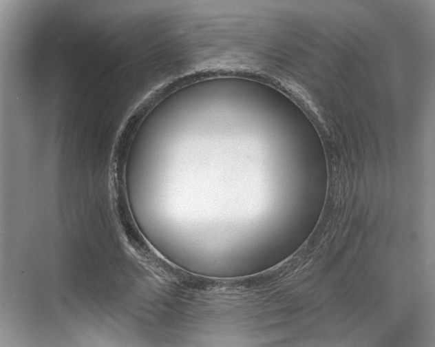 X0000076070680200609220954