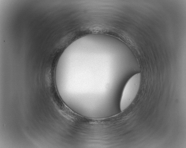 X0000076070690200609220954
