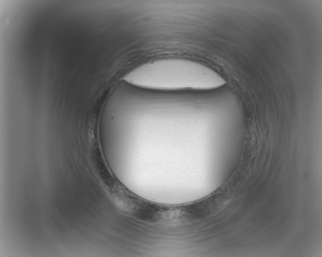 X0000076070695200609220954