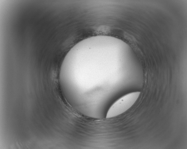 X0000076070714200609220953
