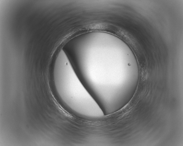 X0000076070725200609220952