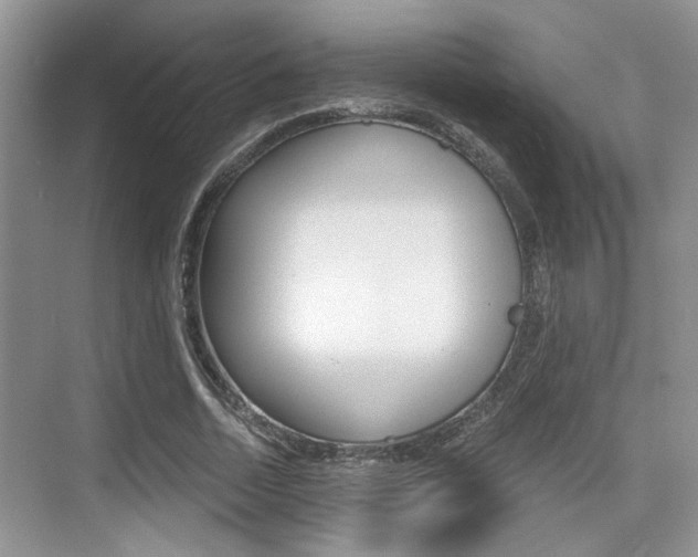X0000076070730200609220952