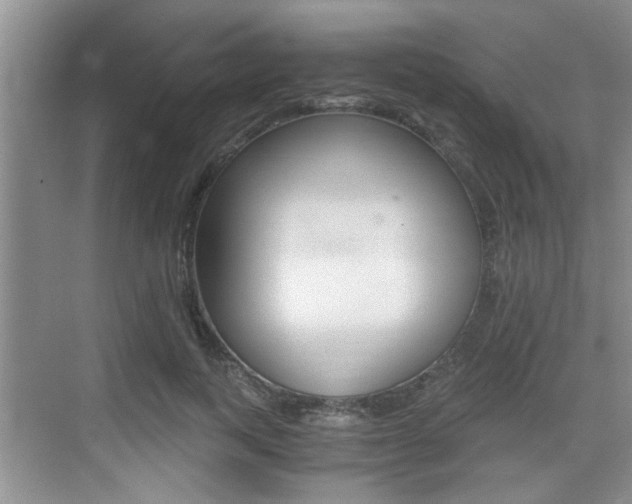 X0000076070743200609220953