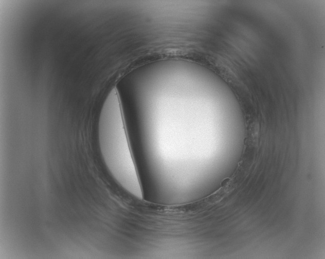 X0000076070746200609220953