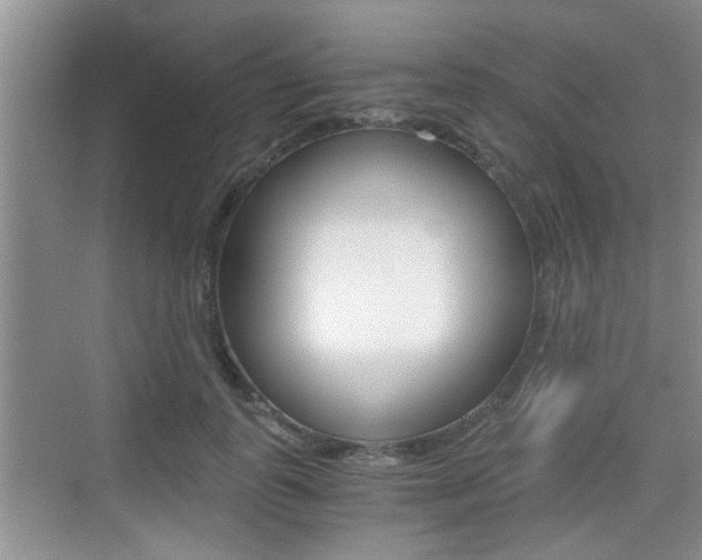 X0000076070747200609220953