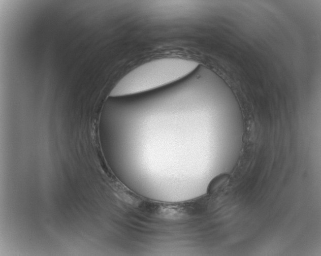 X0000076070753200609220953