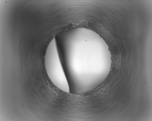X0000076070770200609220952