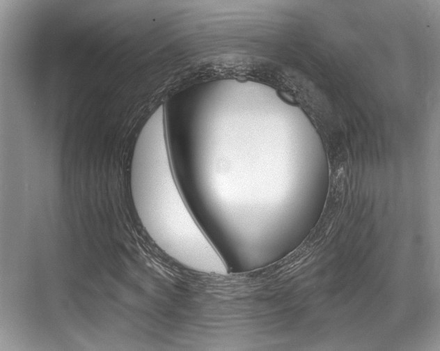 X0000076070772200609220952