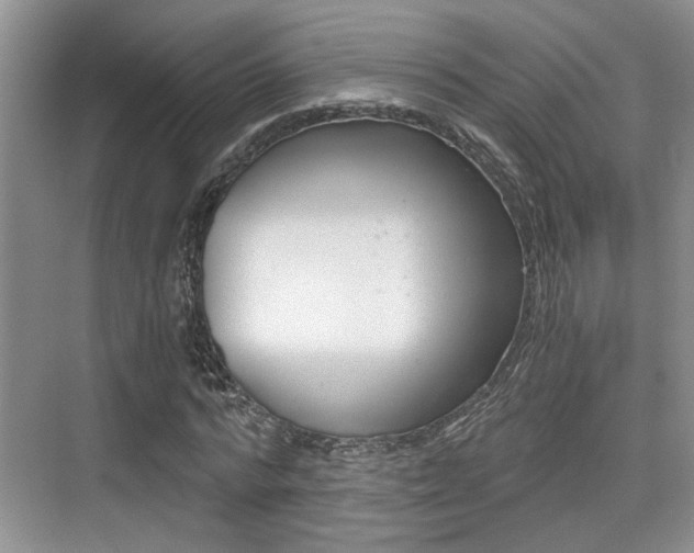 X0000076070776200609220952