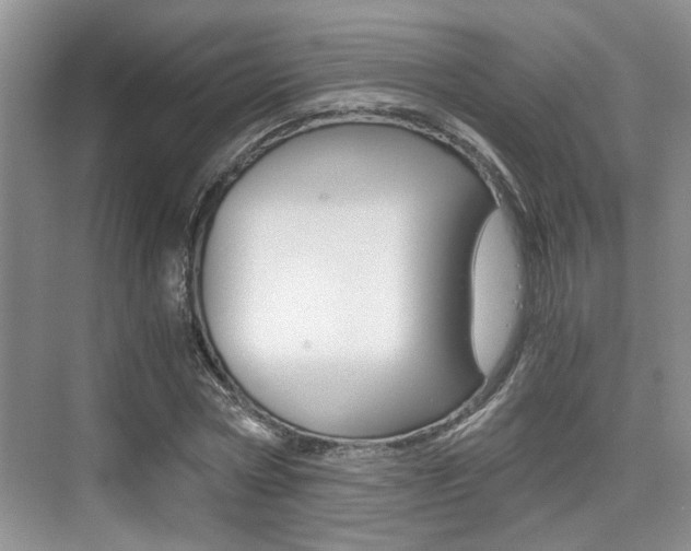 X0000076070778200609220952