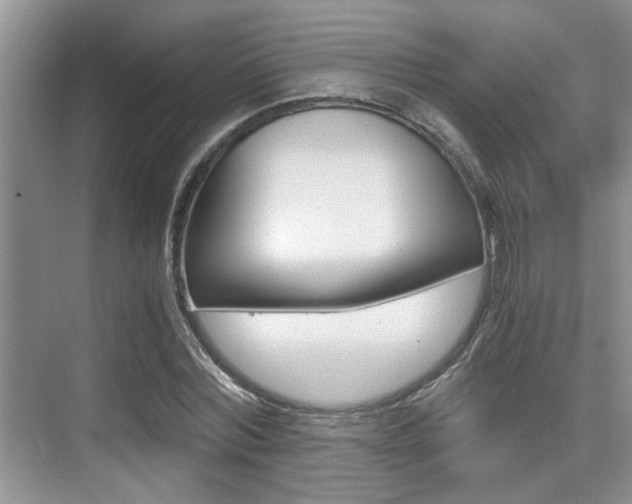 X0000076070780200609220952